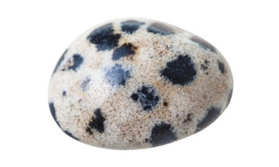 Dalmatian jasper
