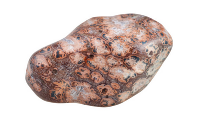 Leopard jasper