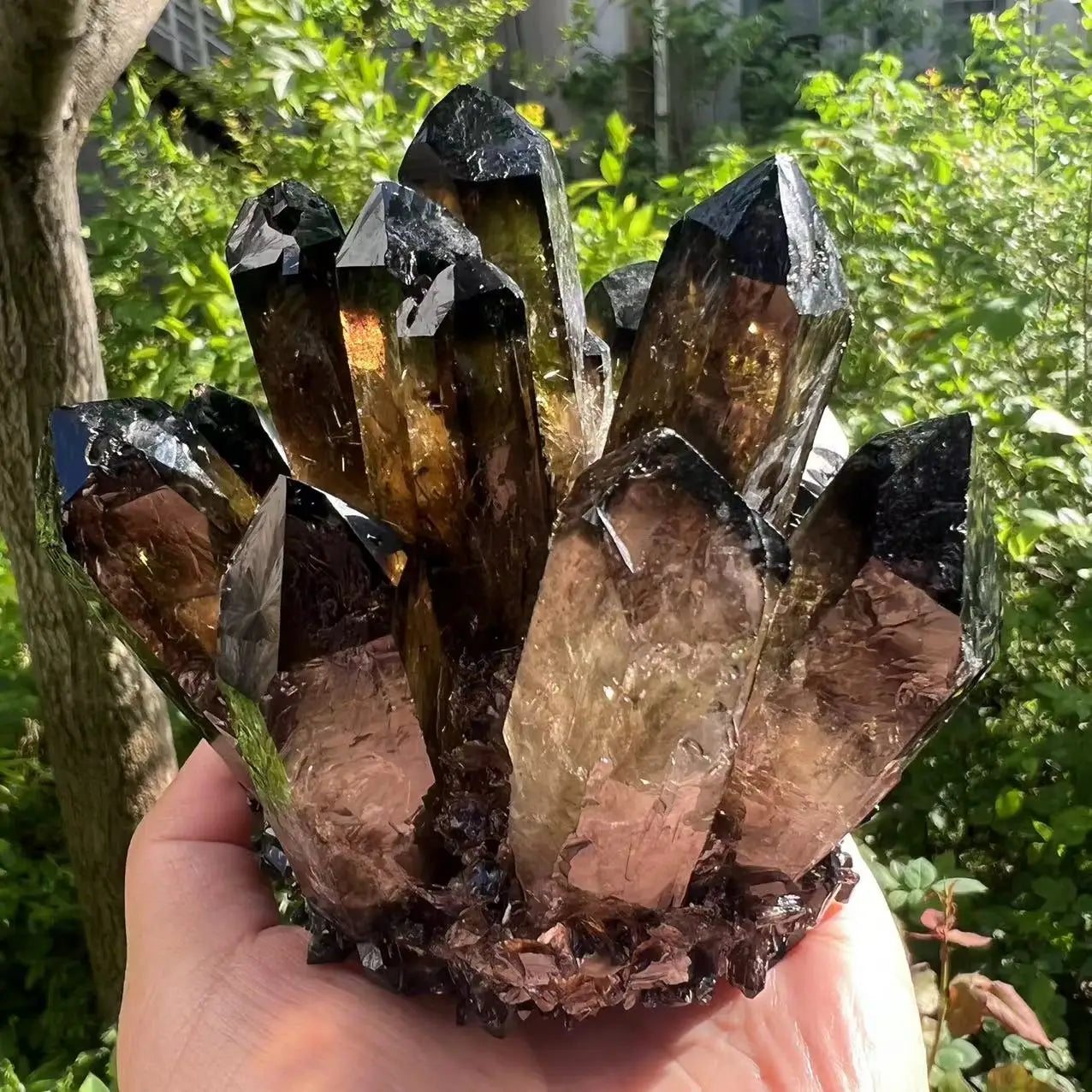 Drusa de Cuarzo Negro Ahumado - 300-1000g