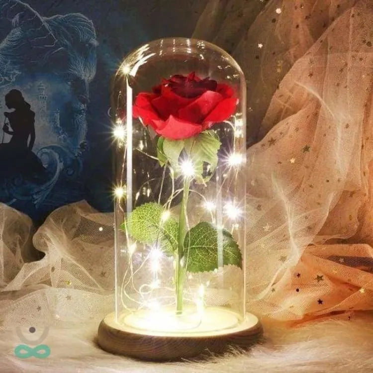 Eterna rosa bajo campana