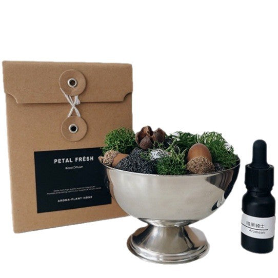 Difusor de Piedra Volcánica – Energía Natural y Fragancia Espiritual