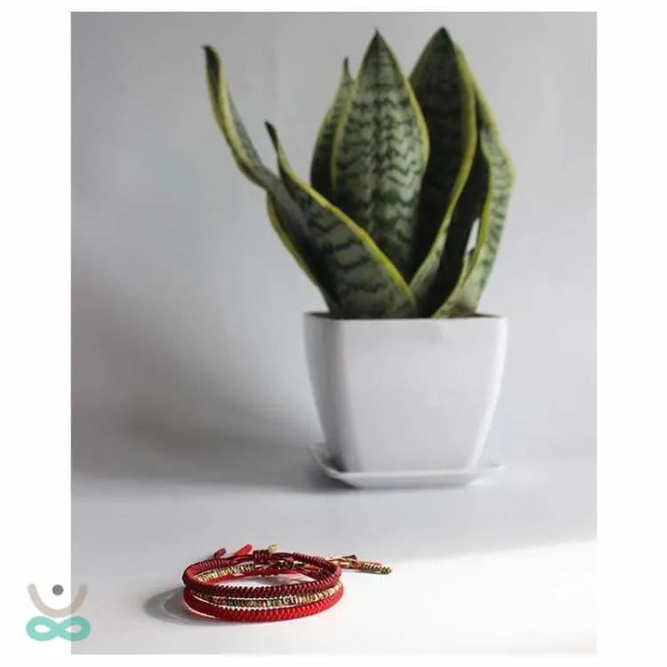 Pulsera Tibetana de la Suerte – Energía Positiva y Tradición Espiritual