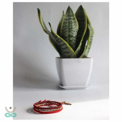 Pulsera Tibetana de la Suerte – Energía Positiva y Tradición Espiritual