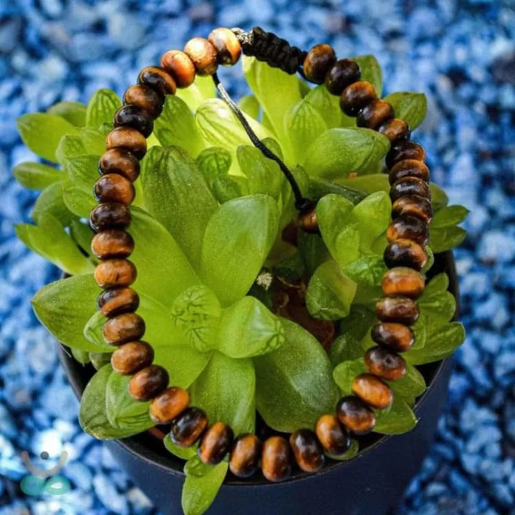 Pulsera "anclaje" ojo de tigre