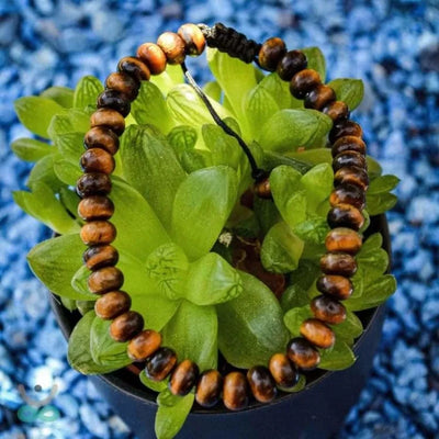 Pulsera "anclaje" ojo de tigre