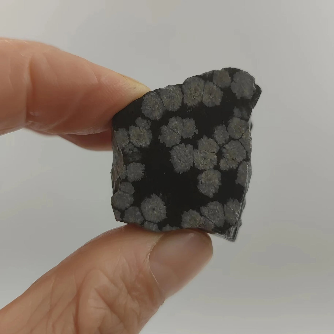 Piedra Bruta de Obsidiana Nevada para Sanación Energética